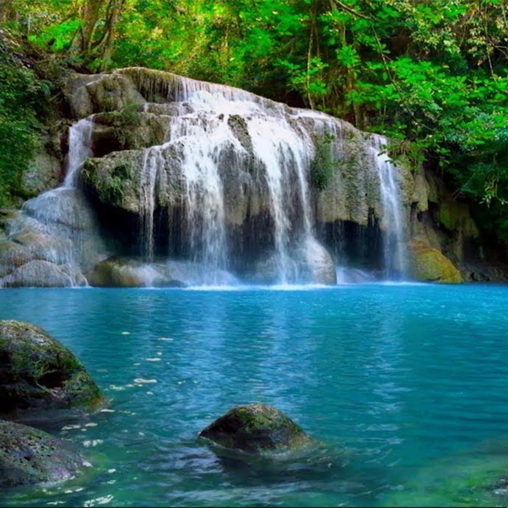 Meet your Posher, Terri